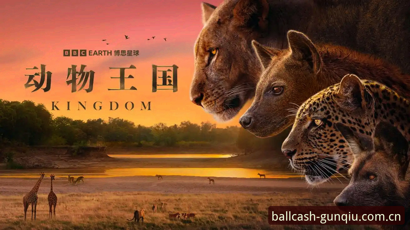 索斯盖特转型纪录片制作人，详解《改变年轻男性的游戏规则》